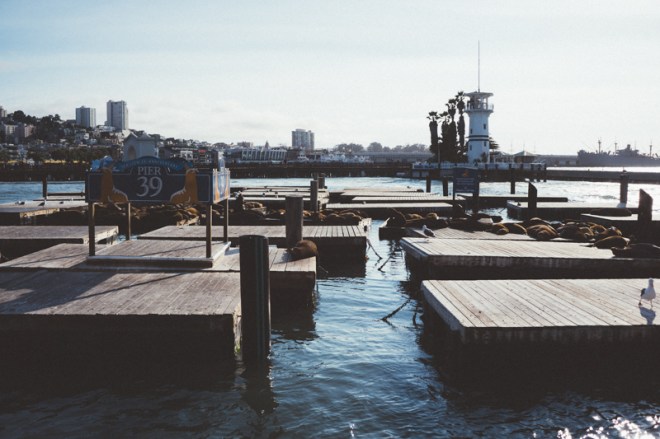 Kitade's in SF wr-46